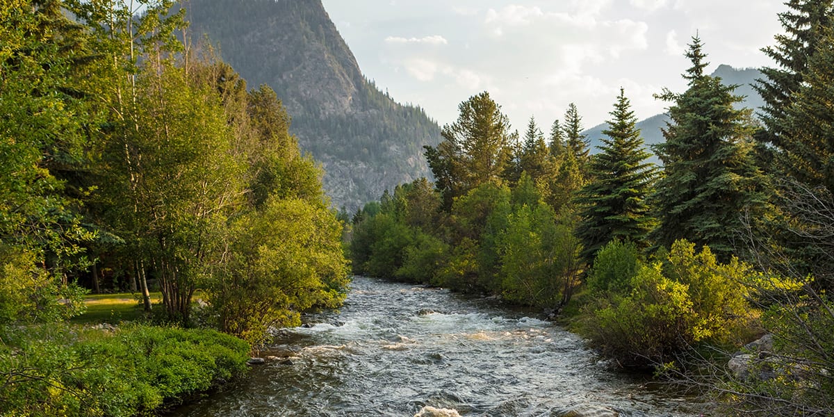 Tenmile Creek through Frisco in the summer