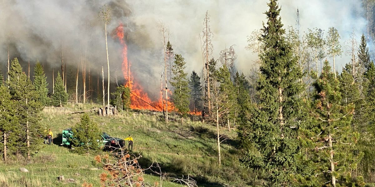 Wildland fire truck with firefighter and buring trees in the background at the Straight Creek Fire in June 2021