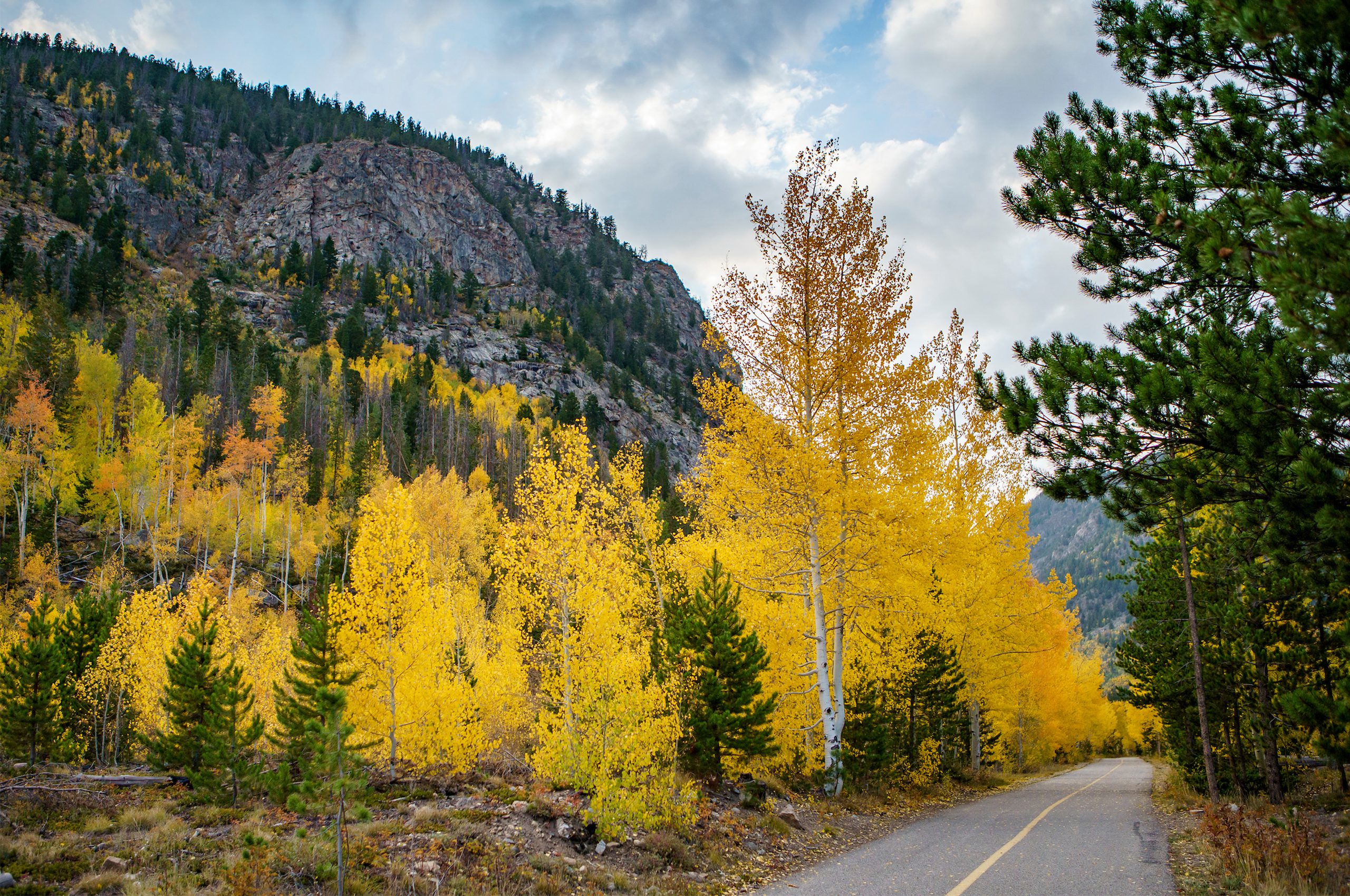 Rec path in Frisco with fall leaves