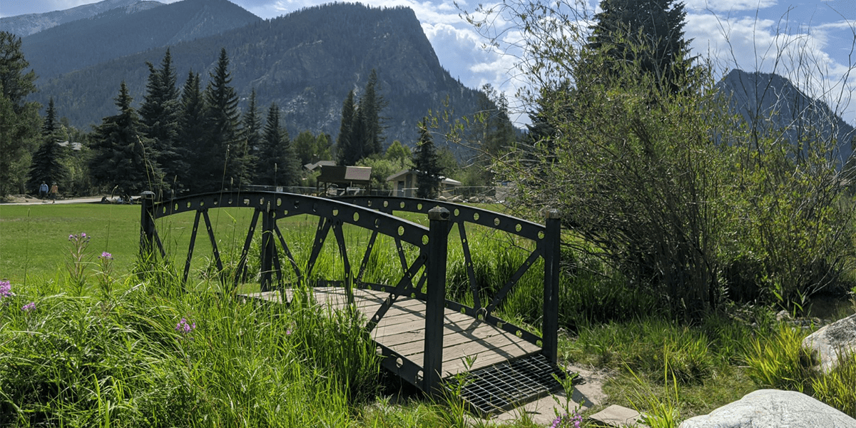 Foot bridge at Walter Byron Park with Mt. Royal iin the background