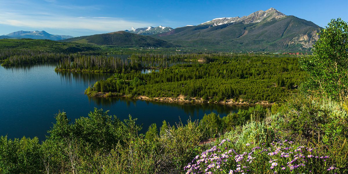 Dillon Reservoir and Ten Mile Mountain Range in summer with wildflowers