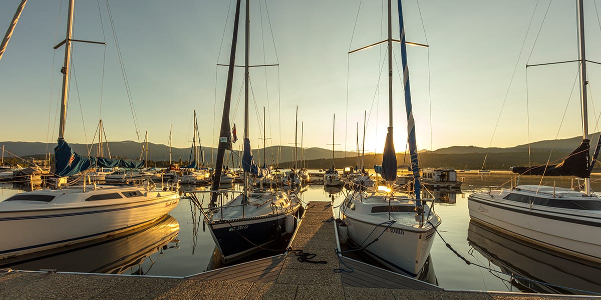 Sailboats docked at the Frisco Bay Marina at sunset
