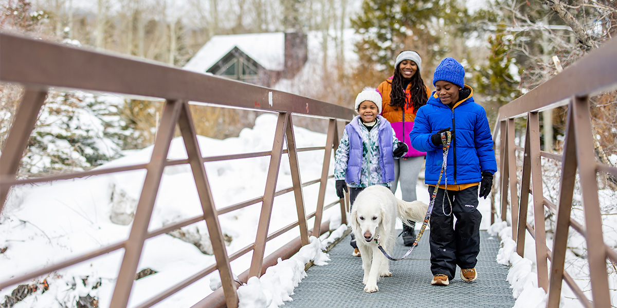 Family of three walking with a white dog on leash on a bridge in the winter
