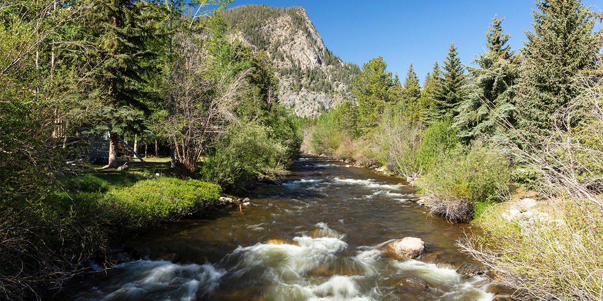 Mount Royal and Ten Mile Creek in summer