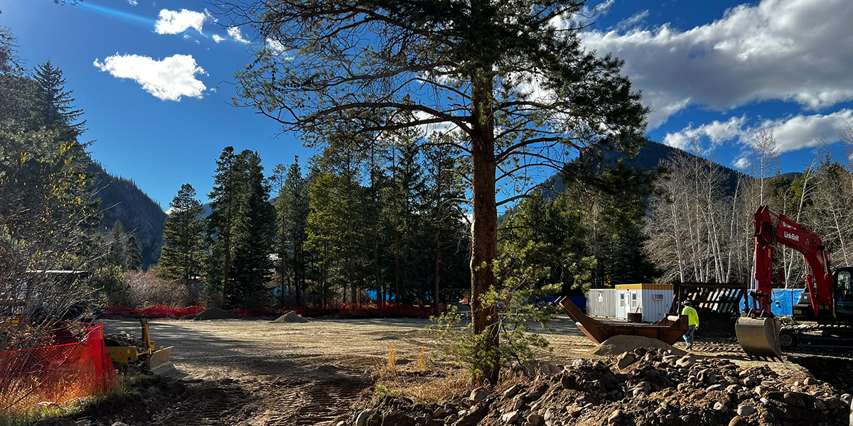 Pioneer Park Update